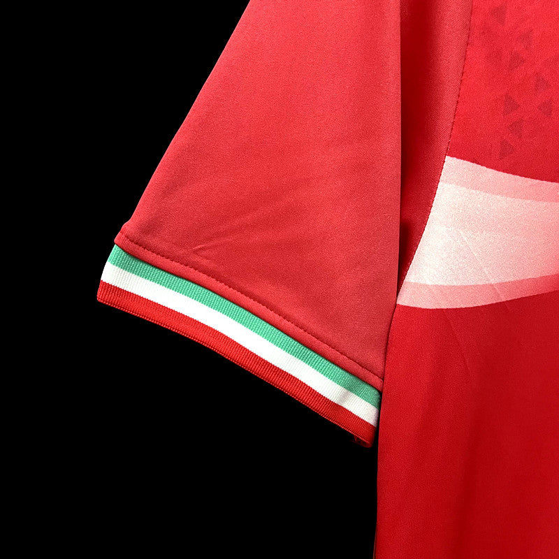 Iran Soccer Jersey | Vintage Football Jersey | Theftblkits