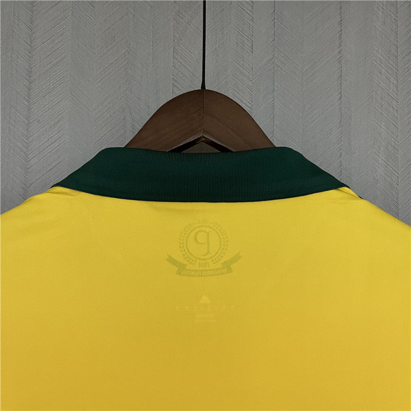 Maglie retrò edizione speciale del Centenario Palmeiras 2013 III 