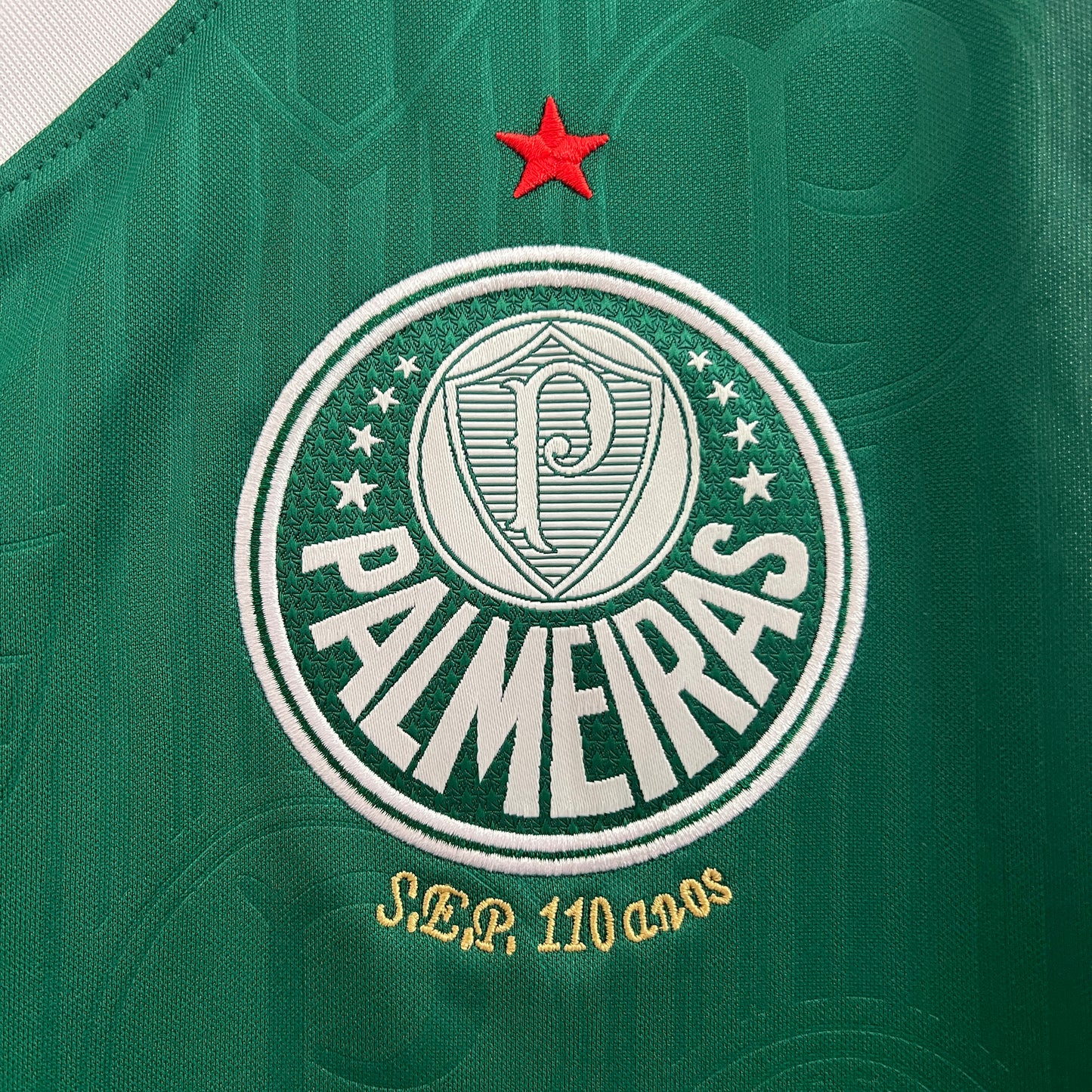 24/25 Vest Palmeiras Home Kit