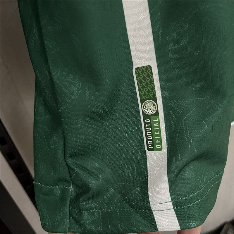 Retro 1993 PALMEIRAS home Long sleeve Jerseys Kit