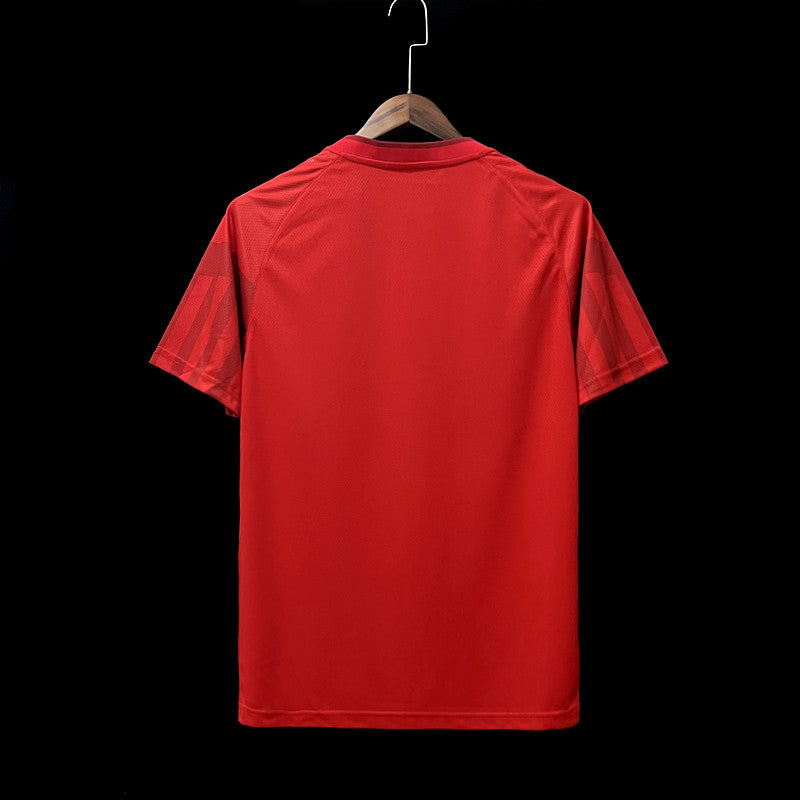 Men's Football Jerseys | Danish Home Jersey | Theftblkits