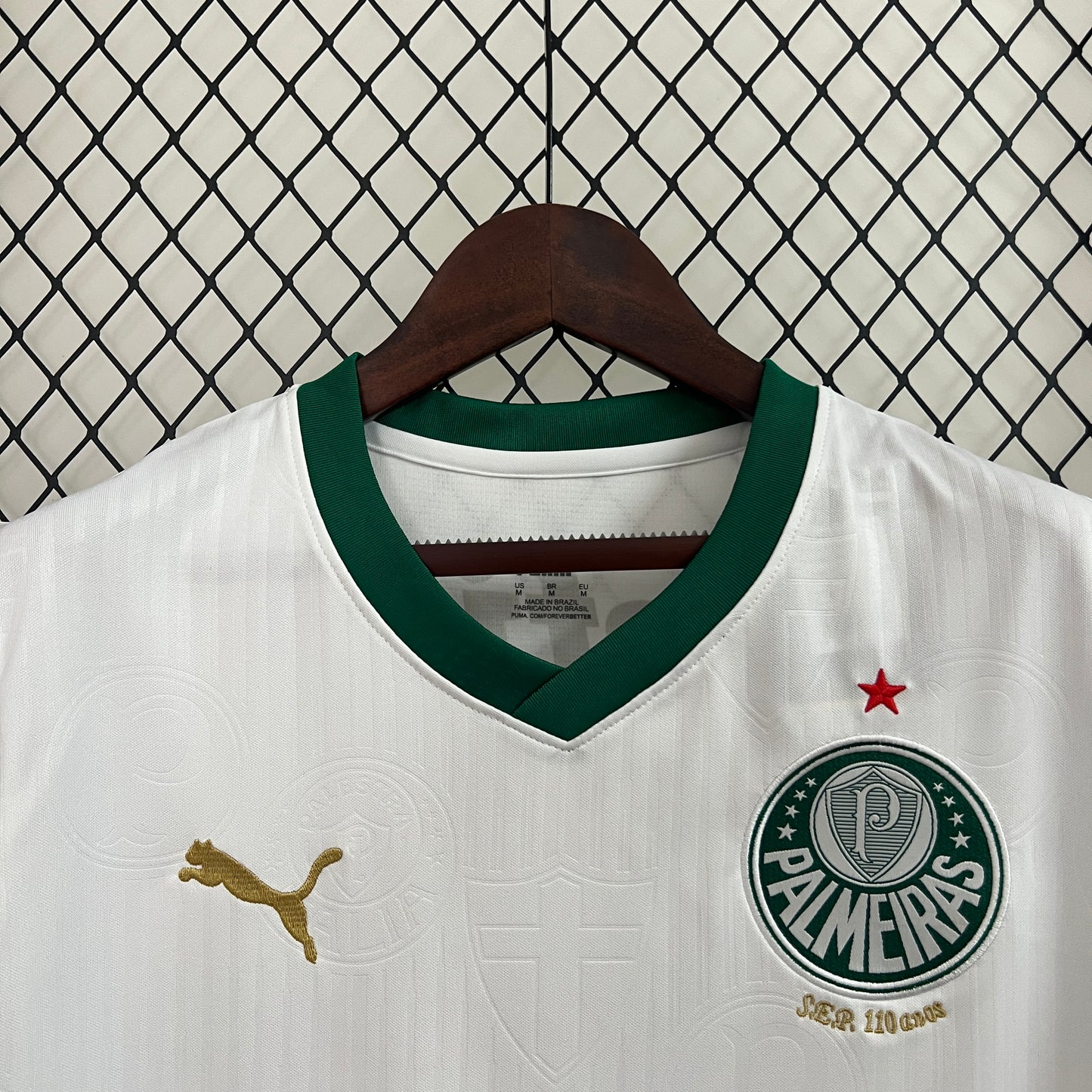 24/25 Vest Palmeiras Away Kit