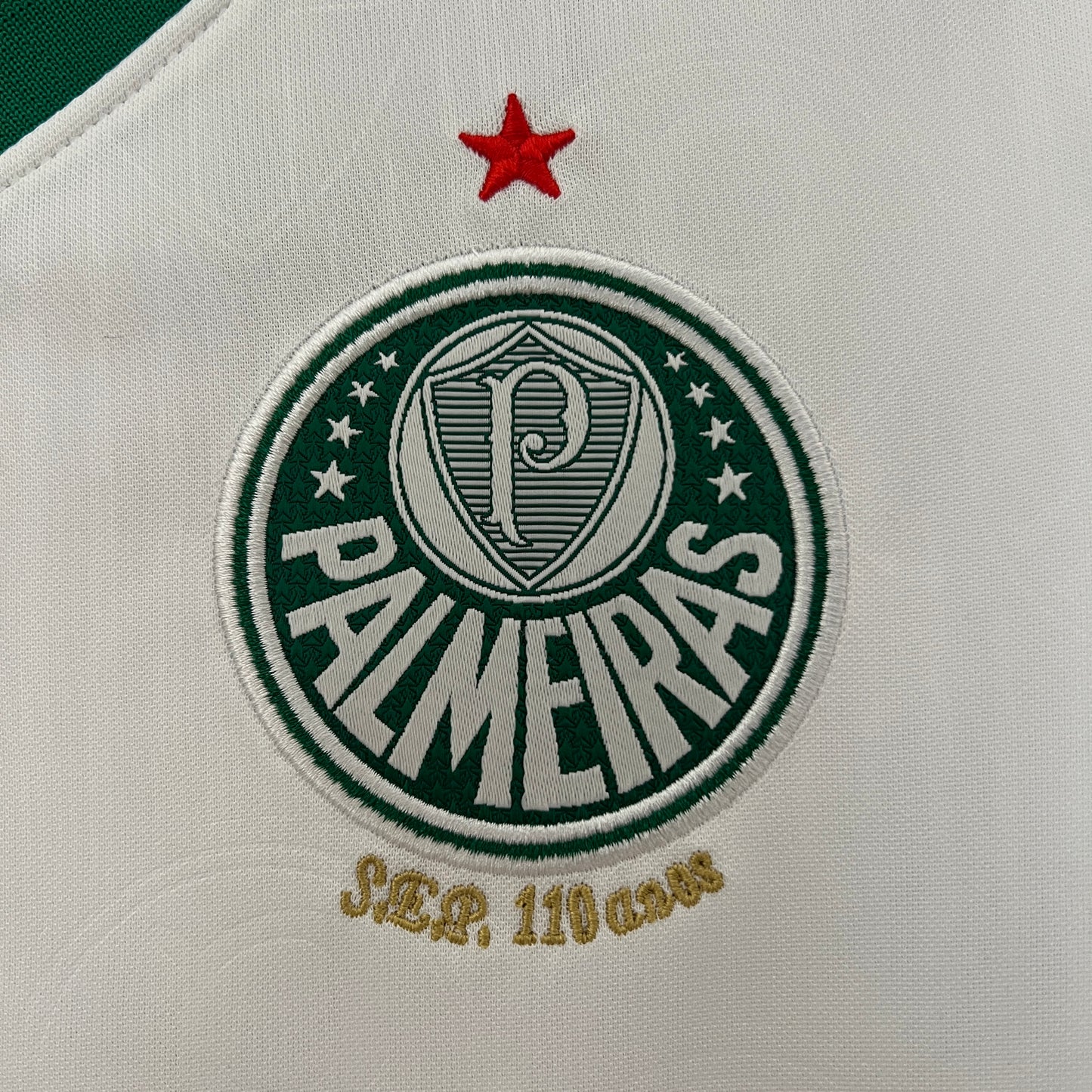 24/25 Women Palmeiras Away Kit