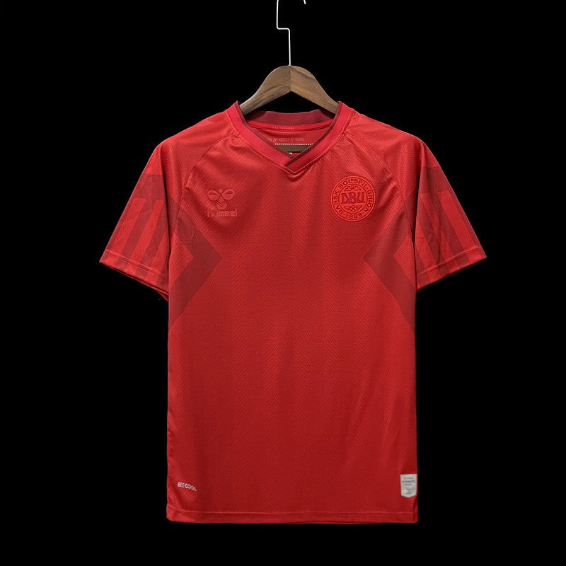 Men's Football Jerseys | Danish Home Jersey | Theftblkits