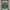 Retro 1993 PALMEIRAS home Long sleeve Jerseys Kit