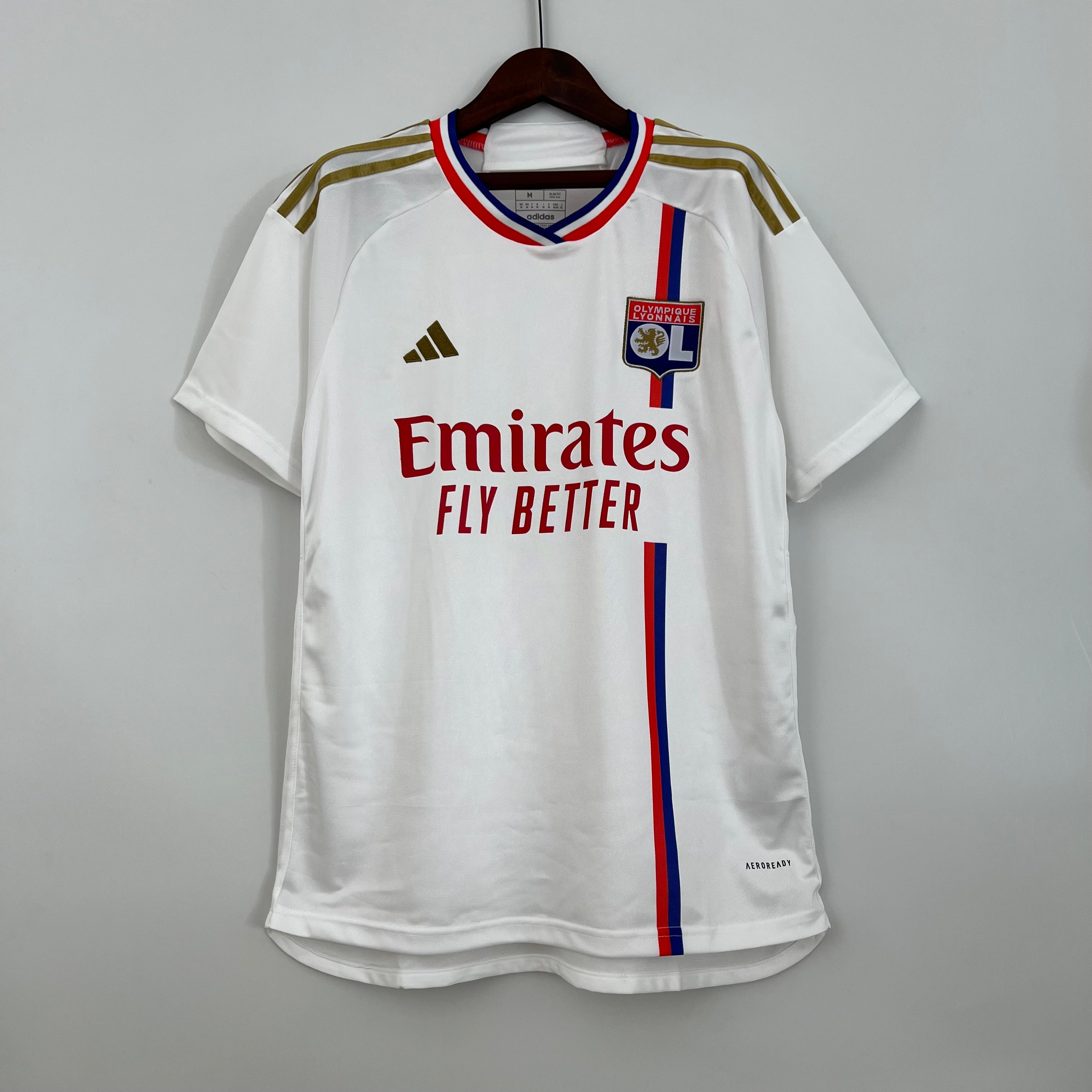 Lyon 23/24 Home Kit – Theftblkits