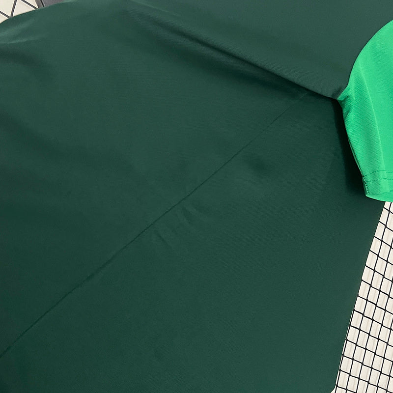 Polo 24/25 verde Palmeiras 