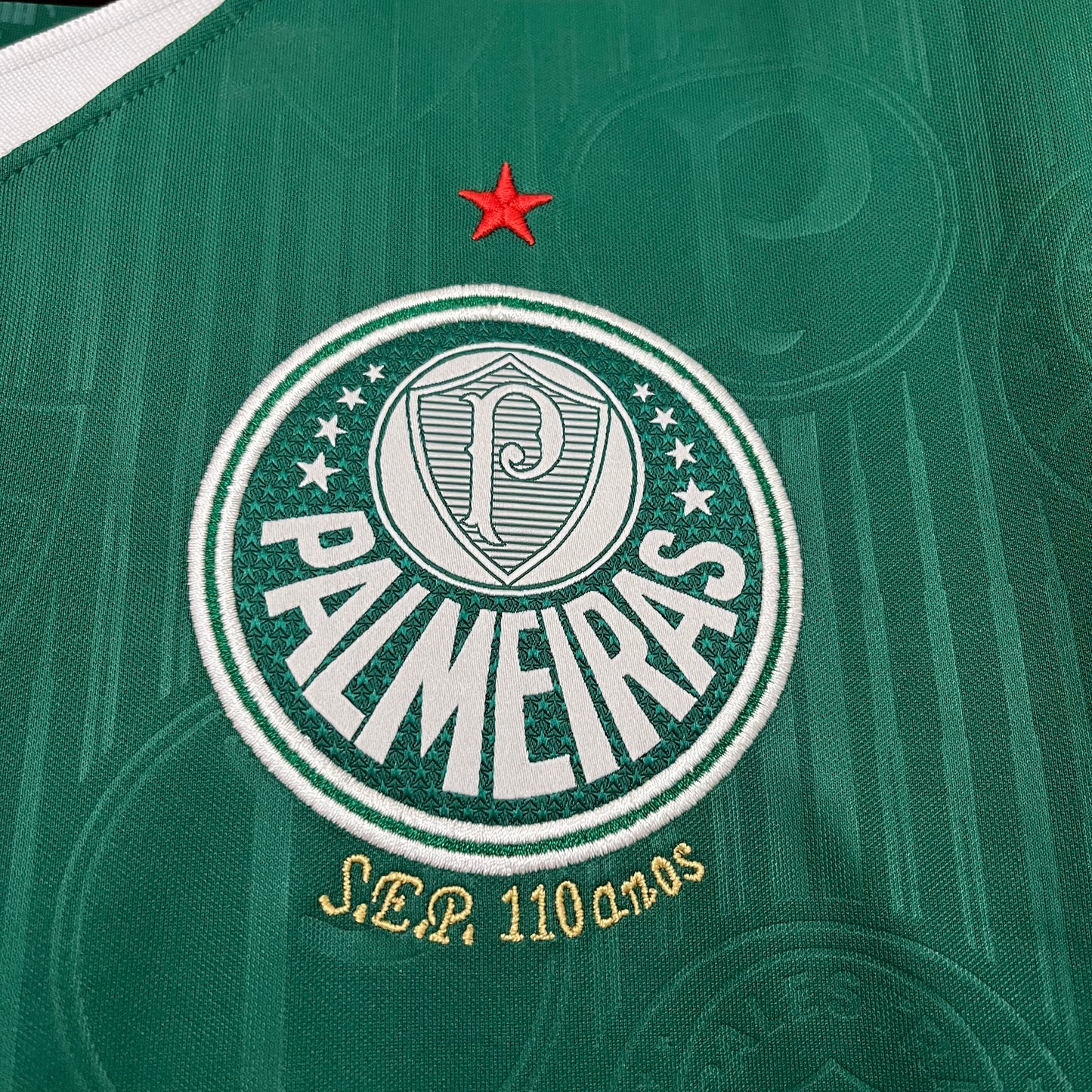 2024/25 Palmeiras in casa 