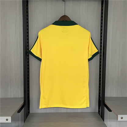 Maglie retrò edizione speciale del Centenario Palmeiras 2013 III 