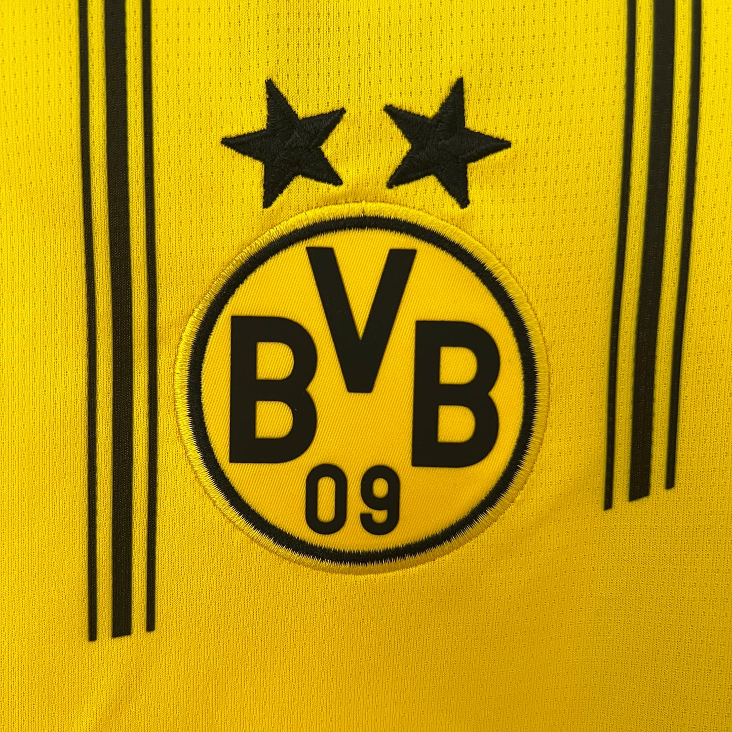 24/25 Dortmund Home Kit