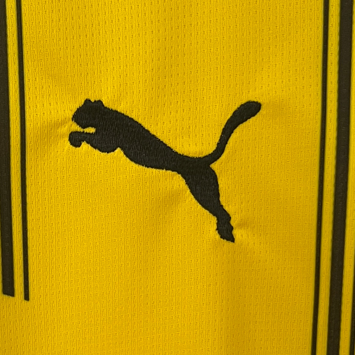 24/25 Dortmund Home Kit