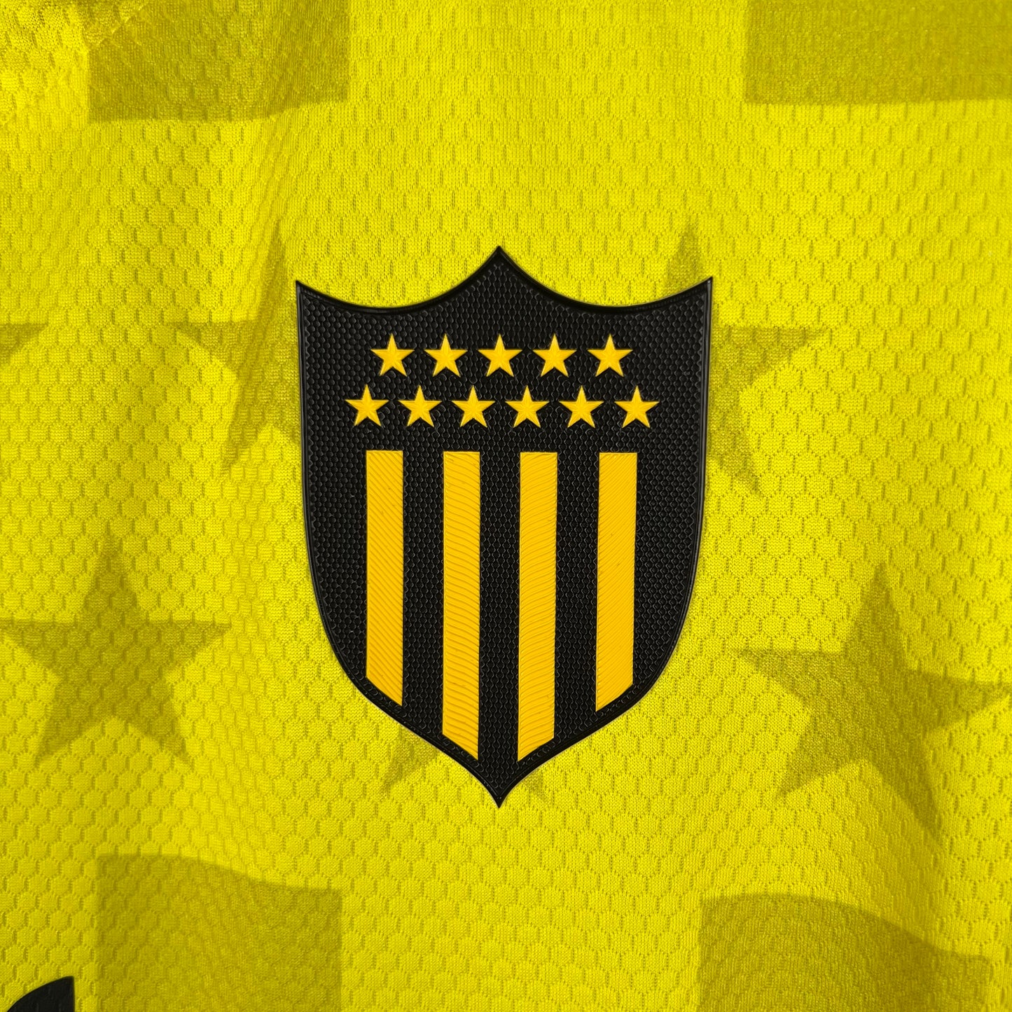 Kit Penarol 23/24 