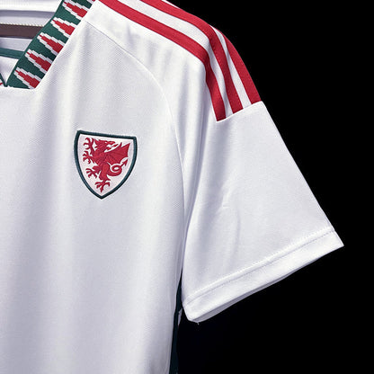 Wales 2022 World Cup Away Kit