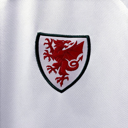 Wales 2022 World Cup Away Kit