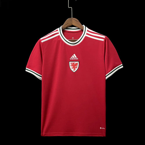 Wales 2022 World Cup Home Kit