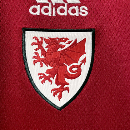 Wales 2022 World Cup Home Kit